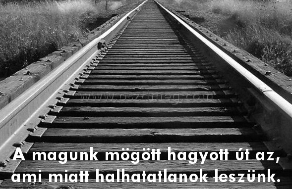 A magunk mögött hagyott A magunk mögött hagyott
A magunk mögött hagyott út az, ami miatt halhatatlanok leszünk.