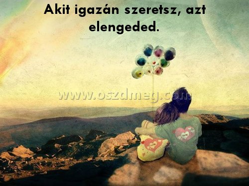 Akit igazán szeretsz
 
Akit igazán szeretsz, azt elengeded.