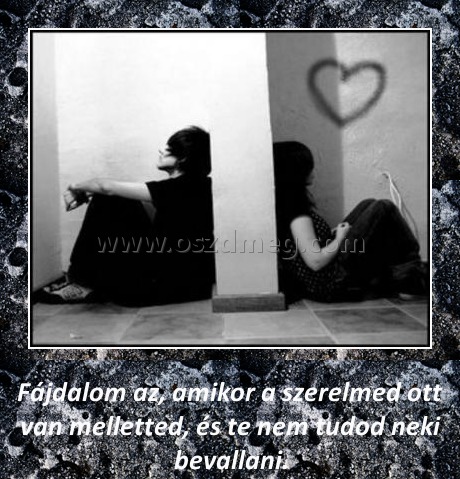 Fájdalom Fájdalom
Fájdalom az, amikor a szerelmed ott van melletted, és te nem tudod neki bevallani.