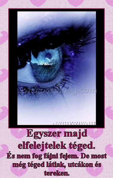 Egyszer majd elfelejtelek téged.
 
És nem fog fájni fejem. De most még téged látlak, utcákon és tereken.