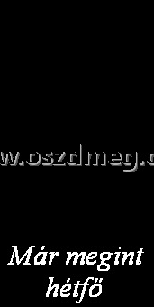 Már megint hétfő 
 
Már megint hétfő 