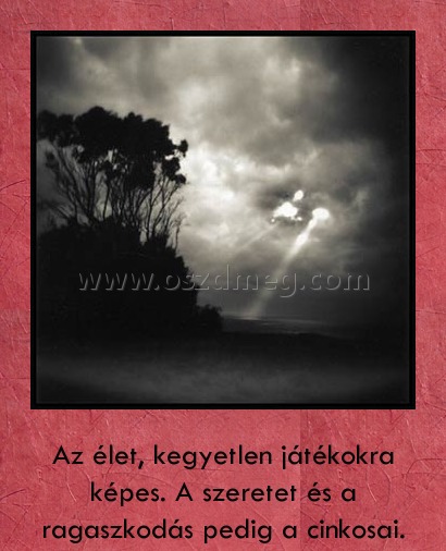 Az élet kegyetlen játékokra képes Az élet kegyetlen játékokra képes
Az élet, kegyetlen játékokra képes. A szeretet és a ragaszkodás pedig a cinkosai.