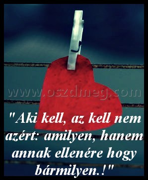 Aki kell
 
