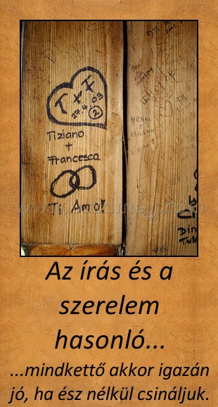 Az írás és a szerelem hasonló... Az írás és a szerelem hasonló...
...mindkettő akkor igazán jó, ha ész nélkül csináljuk.
