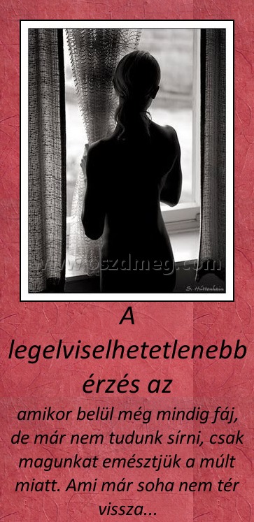 A legelviselhetetlenebb érzés az A legelviselhetetlenebb érzés az
amikor belül még mindig fáj, de már nem tudunk sírni, csak magunkat emésztjük a múlt miatt. Ami már soha nem tér vissza...