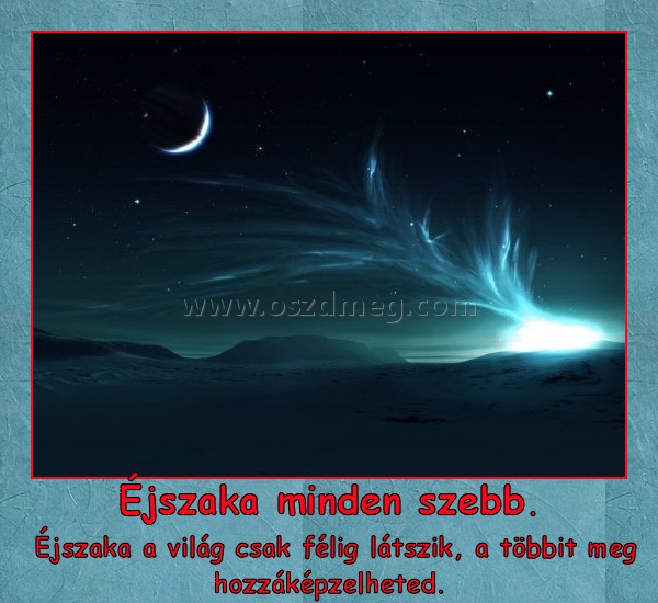 Éjszaka minden szebb. Éjszaka minden szebb.
Éjszaka a világ csak félig látszik, a többit meg hozzáképzelheted.