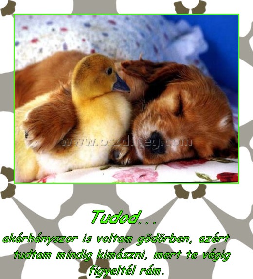 Tudod... Tudod...
akárhányszor is voltam gödörben, azért tudtam mindig kimászni, mert te végig figyeltél rám.