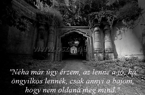 Néha már úgy érzem Néha már úgy érzem
