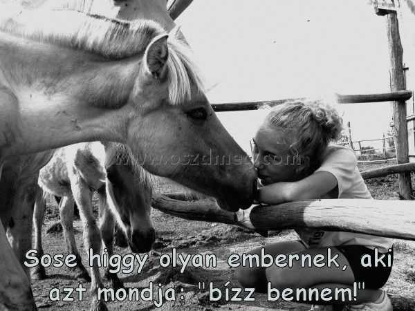 Sose higgy olyan embernek Sose higgy olyan embernek
Sose higgy olyan embernek, aki azt mondja: