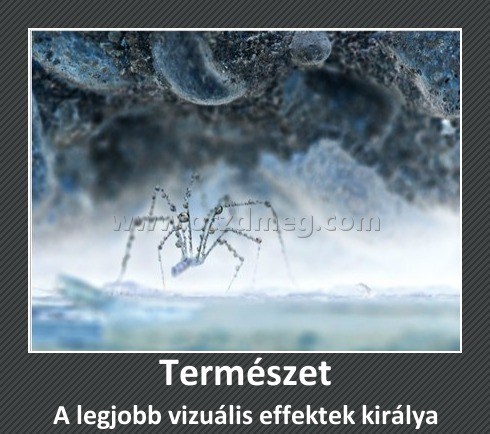 Természet
 
A legjobb vizuális effektek királya