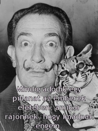 Mindig adódik egy pillanat Mindig adódik egy pillanat
Mindig adódik egy pillanat az emberek életében, amikor rájönnek, hogy imádnak engem.