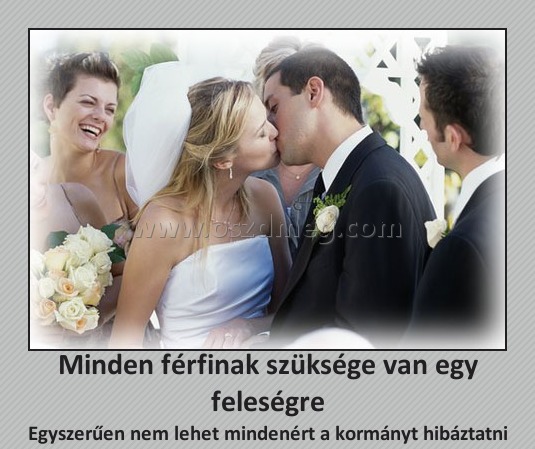 Minden férfinak szüksége van egy feleségre Minden férfinak szüksége van egy feleségre
Egyszerűen nem lehet mindenért a kormányt hibáztatni