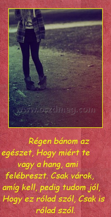 Bánom az egészet Bánom az egészet
Régen bánom az egészet, Hogy miért te vagy a hang, ami felébreszt. Csak várok, amíg kell, pedig tudom jól, Hogy ez rólad szól, Csak is rólad szól.