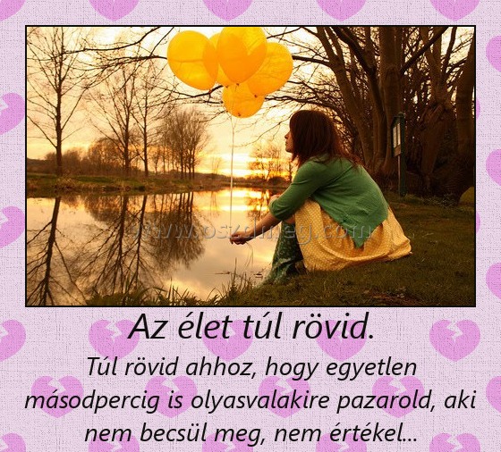 Az élet túl rövid. Az élet túl rövid.
Túl rövid ahhoz, hogy egyetlen másodpercig is olyasvalakire pazarold, aki nem becsül meg, nem értékel...