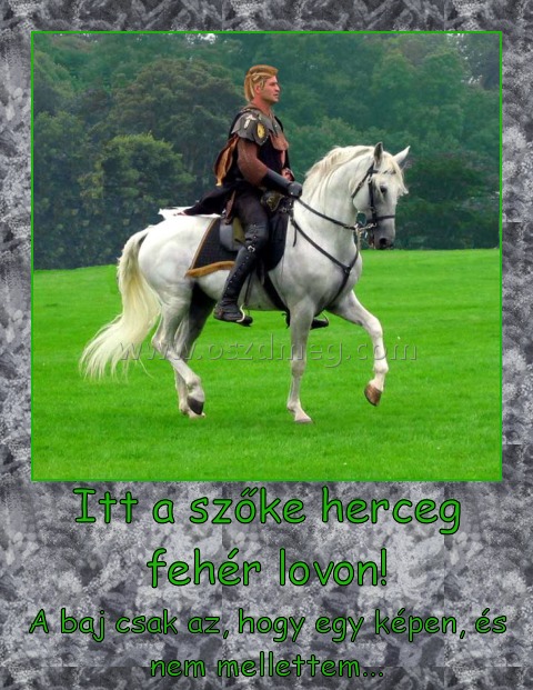 Itt a szőke herceg fehér lovon! Itt a szőke herceg fehér lovon!
A baj csak az, hogy egy képen, és nem mellettem...