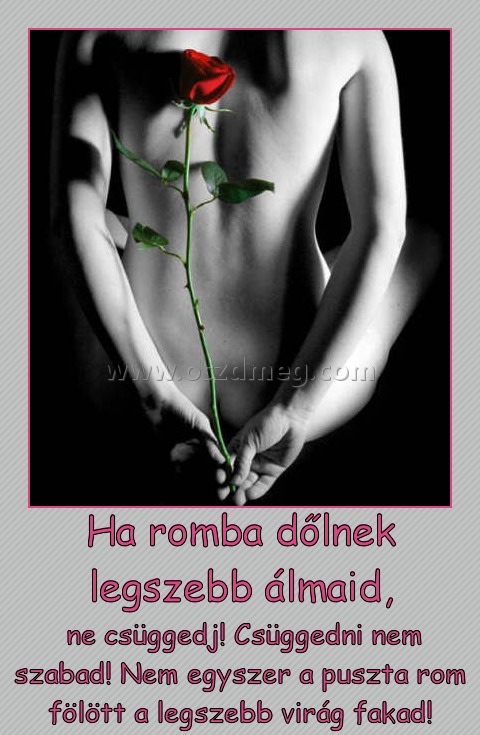 Ha romba dőlnek legszebb álmaid, Ha romba dőlnek legszebb álmaid,
ne csüggedj! Csüggedni nem szabad! Nem egyszer a puszta rom fölött a legszebb virág fakad!