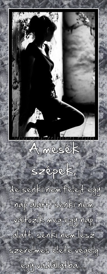 A mesék szépek, A mesék szépek,
de senki nem felejt egy nap alatt, senki nem változik meg egy nap alatt, senki nem lesz szerelmes élete végéig egy vadállatba.....