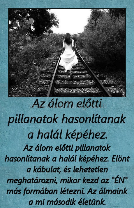 Az álom előtti pillanatok hasonlítanak a halál képéhez. Az álom előtti pillanatok hasonlítanak a halál képéhez.
Az álom előtti pillanatok hasonlítanak a halál képéhez. Elönt a kábulat, és lehetetlen meghatározni, mikor kezd az