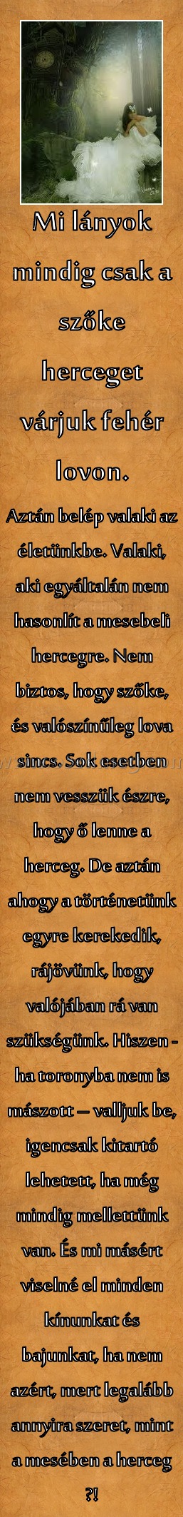 Mi lányok Mi lányok
Aztán belép valaki az életünkbe. Valaki, aki egyáltalán nem hasonlít a mesebeli hercegre. Nem biztos, hogy szőke, és valószínűleg lova sincs. Sok esetben nem vesszük észre, hogy ő lenne a herceg. De aztán ahogy a történetünk egyre kerekedik, rájövünk, hogy valójában rá van szükségünk. Hiszen - ha toronyba nem is mászott – valljuk be, igencsak kitartó lehetett, ha még mindig mellettünk van. És mi másért viselné el minden kínunkat és bajunkat, ha nem azért, mert legalább annyira szeret, mint a mesében a herceg ?!