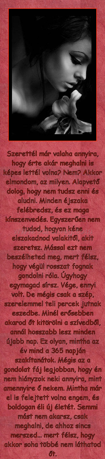 Szerettél már valaha annyira? Szerettél már valaha annyira?
Szerettél már valaha annyira, hogy érte akár meghalni is képes lettél volna? Nem? Akkor elmondom, az milyen. Alapvető dolog, hogy nem tudsz enni és aludni. Minden éjszaka felébredsz, és ez maga kínszenvedés. Egyszerűen nem tudod, hogyan kéne elszakadnod valakitől, akit szeretsz. Mással ezt nem beszélheted meg, mert félsz, hogy végül rosszat fognak gondolni róla. Úgyhogy egymagad sírsz. Vége, ennyi volt. De mégis csak a szép, szerelemmel teli percek jutnak eszedbe. Minél erősebben akarod őt kitörölni a szívedből, annál hosszabb lesz minden újabb nap. Ez olyan, mintha az év mind a 365 napján szakítanátok. Mégis az a gondolat fáj legjobban, hogy én nem hiányzok neki annyira, mint amennyire ő nekem. Mintha már el is felejtett volna engem, és boldogan éli új életét. Semmi mást nem akarsz, csak meghalni, de ahhoz sincs merszed... mert félsz, hogy akkor soha többé nem láthatod őt.