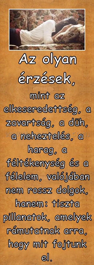 Az olyan érzések, Az olyan érzések,
mint az elkeseredettség, a zavartság, a düh, a neheztelés, a harag, a féltékenység és a félelem, valójában nem rossz dolgok, hanem: tiszta pillanatok, amelyek rámutatnak arra, hogy mit fojtunk el.