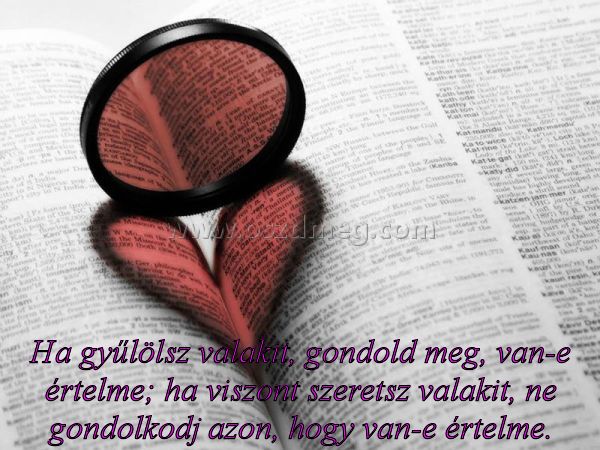 Ha gyűlölsz valakit
 
Ha gyűlölsz valakit, gondold meg, van-e értelme; ha viszont szeretsz valakit, ne gondolkodj azon, hogy van-e értelme.