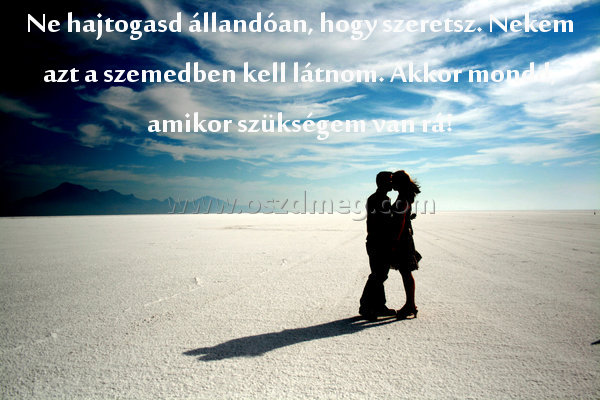 Ne hajtogasd állandóan
 
Ne hajtogasd állandóan, hogy szeretsz. Nekem azt a szemedben kell látnom. Akkor mondd, amikor szükségem van rá!