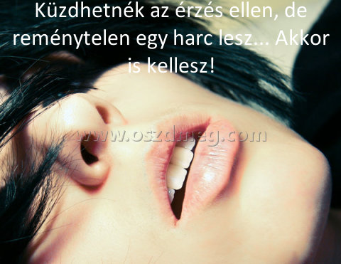 Küzdhetnék az érzés ellen
 
Küzdhetnék az érzés ellen, de reménytelen egy harc lesz... Akkor is kellesz!