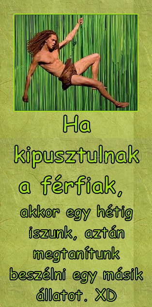 Ha kipusztulnak a férfiak, Ha kipusztulnak a férfiak,
akkor egy hétig iszunk, aztán megtanítunk beszélni egy másik állatot. XD