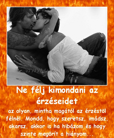 Ne félj kimondani az érzéseidet Ne félj kimondani az érzéseidet
az olyan, mintha magától az érzéstöl félnél. Mondd, hogy szeretsz, imádsz, akarsz, akkor is ha hibázom és hogy szinte megörít a hiányom...