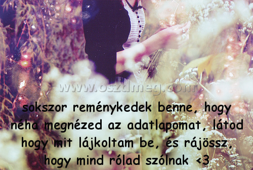 sokszor reménykedek benne sokszor reménykedek benne
sokszor reménykedek benne, hogy néha megnézed az adatlapomat, látod hogy mit lájkoltam be, és rájössz, hogy mind rólad szólnak <3