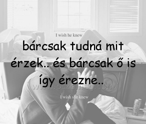 bárcsak tudná mit érzek.. bárcsak tudná mit érzek..
bárcsak tudná mit érzek.. és bárcsak ő is így érezne..