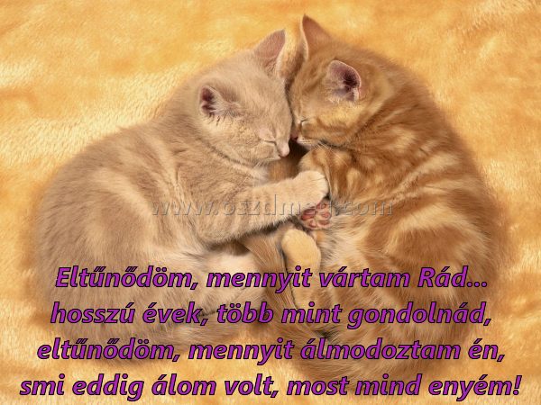 Eltűnődöm Eltűnődöm
Eltűnődöm, mennyit vártam Rád... hosszú évek, több mint gondolnád, eltűnődöm, mennyit álmodoztam én, smi eddig álom volt, most mind enyém!