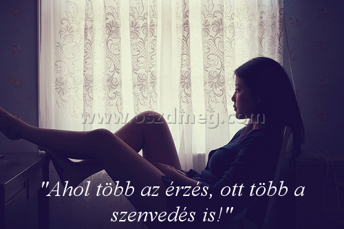 "Ahol több az érzés
 
