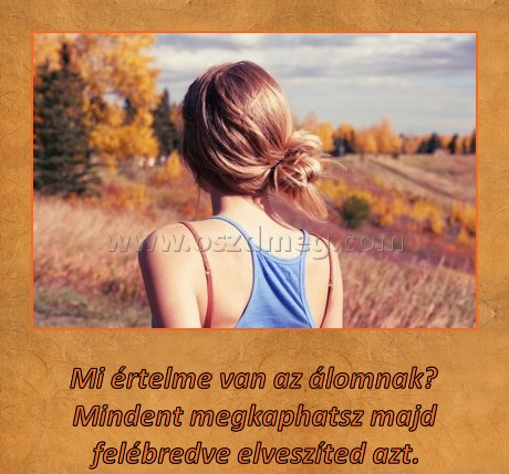 Mi értelme van az álomnak? Mi értelme van az álomnak?
Mi értelme van az álomnak? Mindent megkaphatsz majd felébredve elveszíted azt.