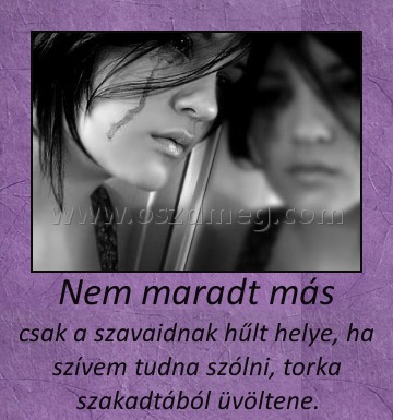 Nem maradt más Nem maradt más
csak a szavaidnak hűlt helye, ha szívem tudna szólni, torka szakadtából üvöltene.