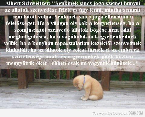 Albert Schweitzer: "Senkinek sincs Albert Schweitzer: "Senkinek sincs
Albert Schweitzer: