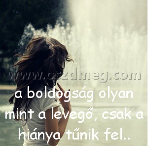 a boldogság olyan mint a boldogság olyan mint
a boldogság olyan mint a levegő, csak a hiánya tűnik fel..