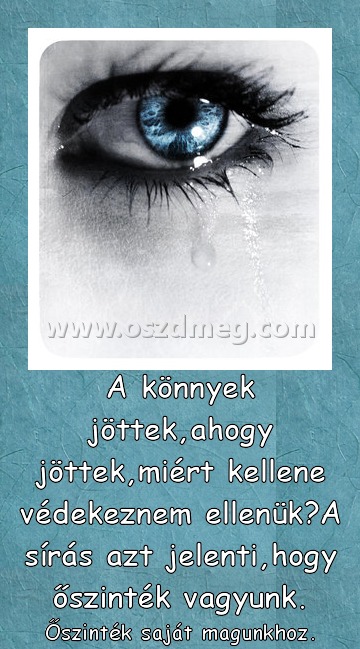 A könnyek jöttek
 
Őszinték saját magunkhoz.