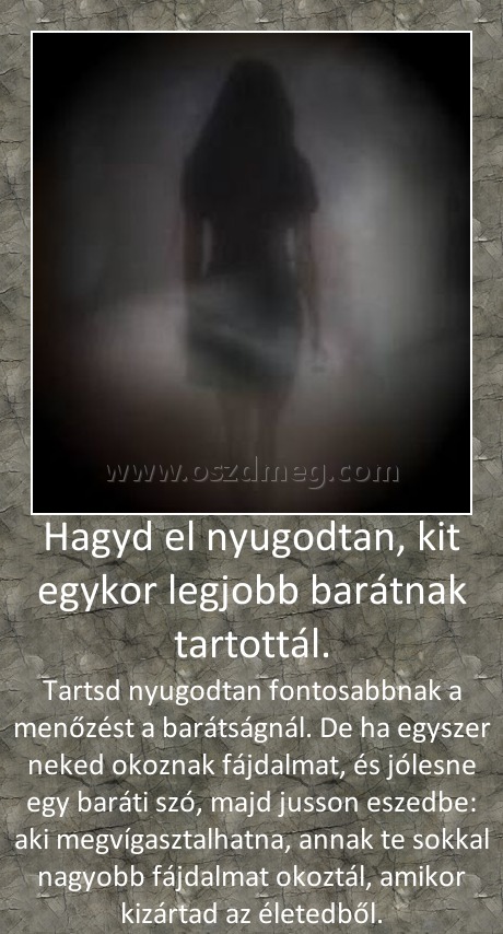 Hagyd el nyugodtan, kit egykor legjobb barátnak tartottál. Hagyd el nyugodtan, kit egykor legjobb barátnak tartottál.
Tartsd nyugodtan fontosabbnak a menőzést a barátságnál. De ha egyszer neked okoznak fájdalmat, és jólesne egy baráti szó, majd jusson eszedbe: aki megvígasztalhatna, annak te sokkal nagyobb fájdalmat okoztál, amikor kizártad az életedből.
