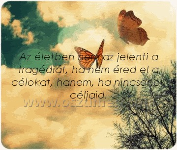 Az életben nem az Az életben nem az
Az életben nem az jelenti a tragédiát, ha nem éred el a célokat, hanem, ha nincsenek céljaid.
