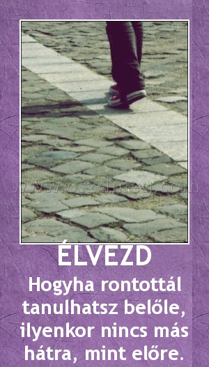 ÉLVEZD
 
Hogyha rontottál tanulhatsz belőle, ilyenkor nincs más hátra, mint előre.