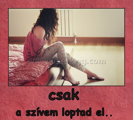 csak 
 
a szívem loptad el.. 