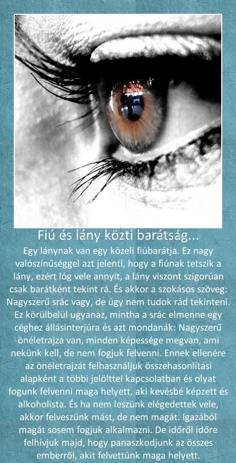 Fiú és lány közti barátság... Fiú és lány közti barátság...
Egy lánynak van egy közeli fiúbarátja. Ez nagy valószínűséggel azt jelenti, hogy a fiúnak tetszik a lány, ezért lóg vele annyit, a lány viszont szigorúan csak barátként tekint rá. És akkor a szokásos szöveg: Nagyszerű srác vagy, de úgy nem tudok rád tekinteni. Ez körülbelül ugyanaz, mintha a srác elmenne egy céghez állásinterjúra és azt mondanák: Nagyszerű önéletrajza van, minden képessége megvan, ami nekünk kell, de nem fogjuk felvenni. Ennek ellenére az önéletrajzát felhasználjuk összehasonlítási alapként a többi jelölttel kapcsolatban és olyat fogunk felvenni maga helyett, aki kevésbé képzett és alkoholista. És ha nem leszünk elégedettek vele, akkor felveszünk mást, de nem magát. Igazából magát sosem fogjuk alkalmazni. De időről időre felhívjuk majd, hogy panaszkodjunk az összes emberről, akit felvettünk maga helyett.