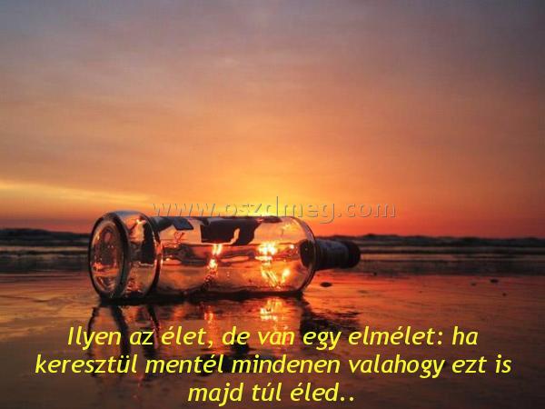 Ilyen az élet Ilyen az élet
Ilyen az élet, de van egy elmélet: ha keresztül mentél mindenen valahogy ezt is majd túl éled..