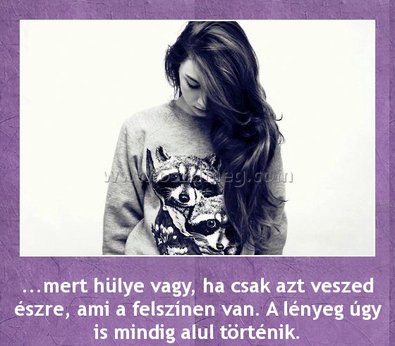 Mert hülye vagy Mert hülye vagy
...mert hülye vagy, ha csak azt veszed észre, ami a felszínen van. A lényeg úgy is mindig alul történik.