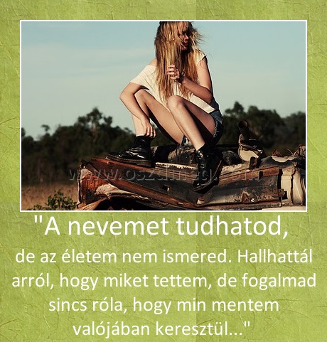 "A nevemet tudhatod, "A nevemet tudhatod,
de az életem nem ismered. Hallhattál arról, hogy miket tettem, de fogalmad sincs róla, hogy min mentem valójában keresztül...