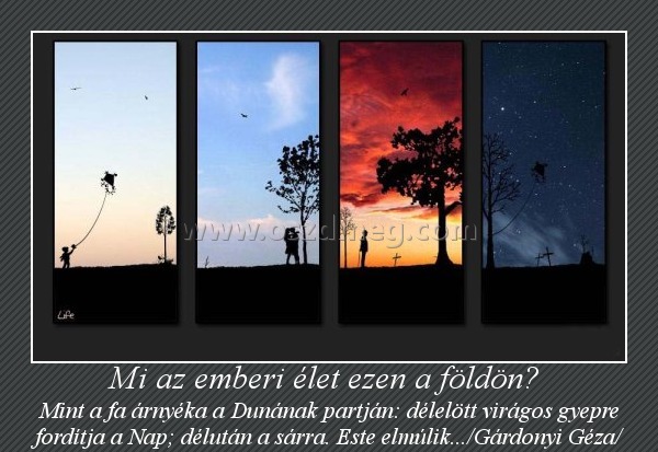 Mi az emberi élet ezen a földön? 
 
Mint a fa árnyéka a Dunának partján: délelött virágos gyepre fordítja a Nap; délután a sárra. Este elmúlik.../Gárdonyi Géza/