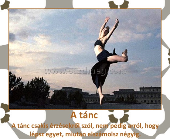 A tánc 
 
A tánc csakis érzésekről szól, nem pedig arról, hogy lépsz egyet, miután elszámolsz négyig.