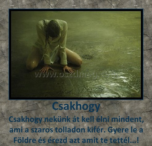 Csakhogy
 
Csakhogy nekünk át kell élni mindent, ami a szaros tolladon kifér. Gyere le a Földre és érezd azt amit te tettél...!